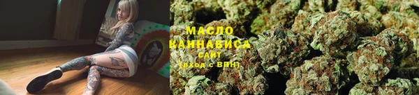 дмт Новодвинск