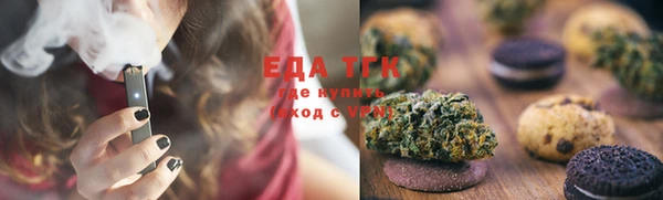 тгк Новозыбков
