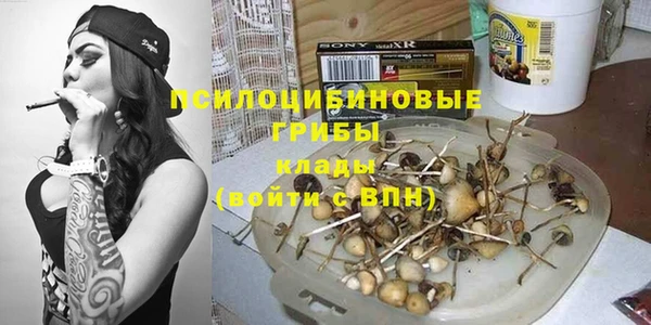 дмт Новодвинск