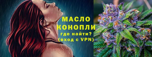 дмт Новодвинск