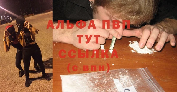 дмт Новодвинск