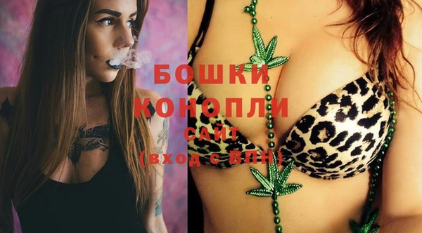дмт Новодвинск