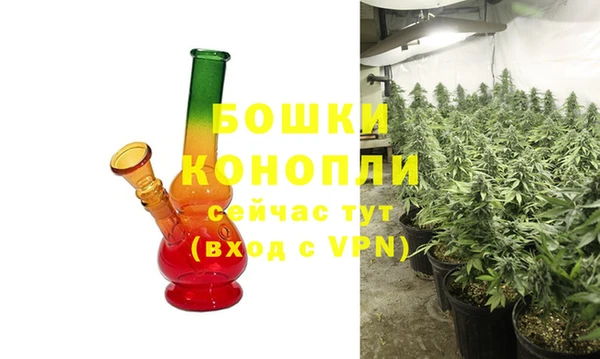 тгк Новозыбков
