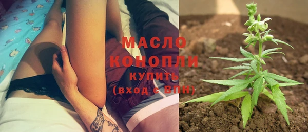 тгк Новозыбков