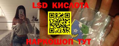 меф Гатчина