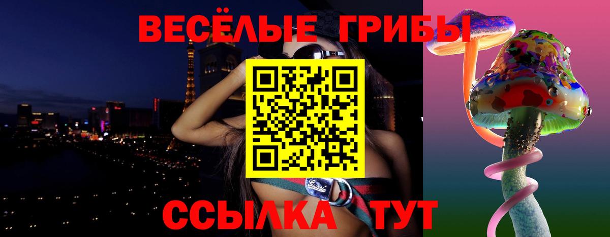 Псилоцибиновые грибы прущие грибы  Вход с VPN  Кудрово 